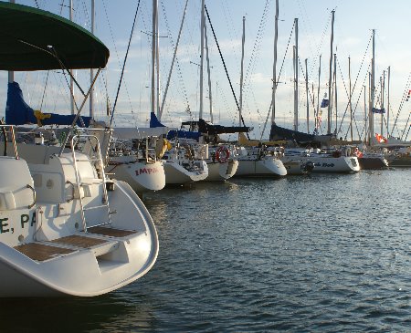 Picture of the Marina
